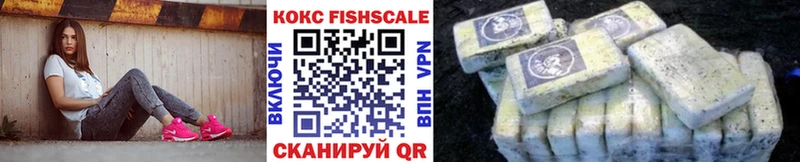 COCAIN Эквадор  купить наркотики сайты  Барыш 